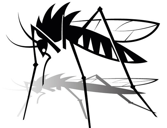 驱蚊　灭蚊　长效灭蚊蝇药